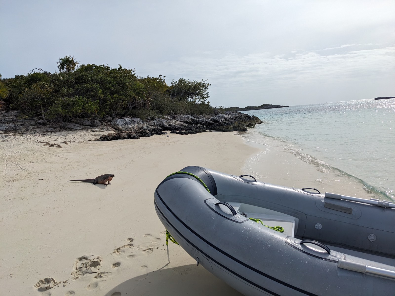 S/V Remedy, photo 77