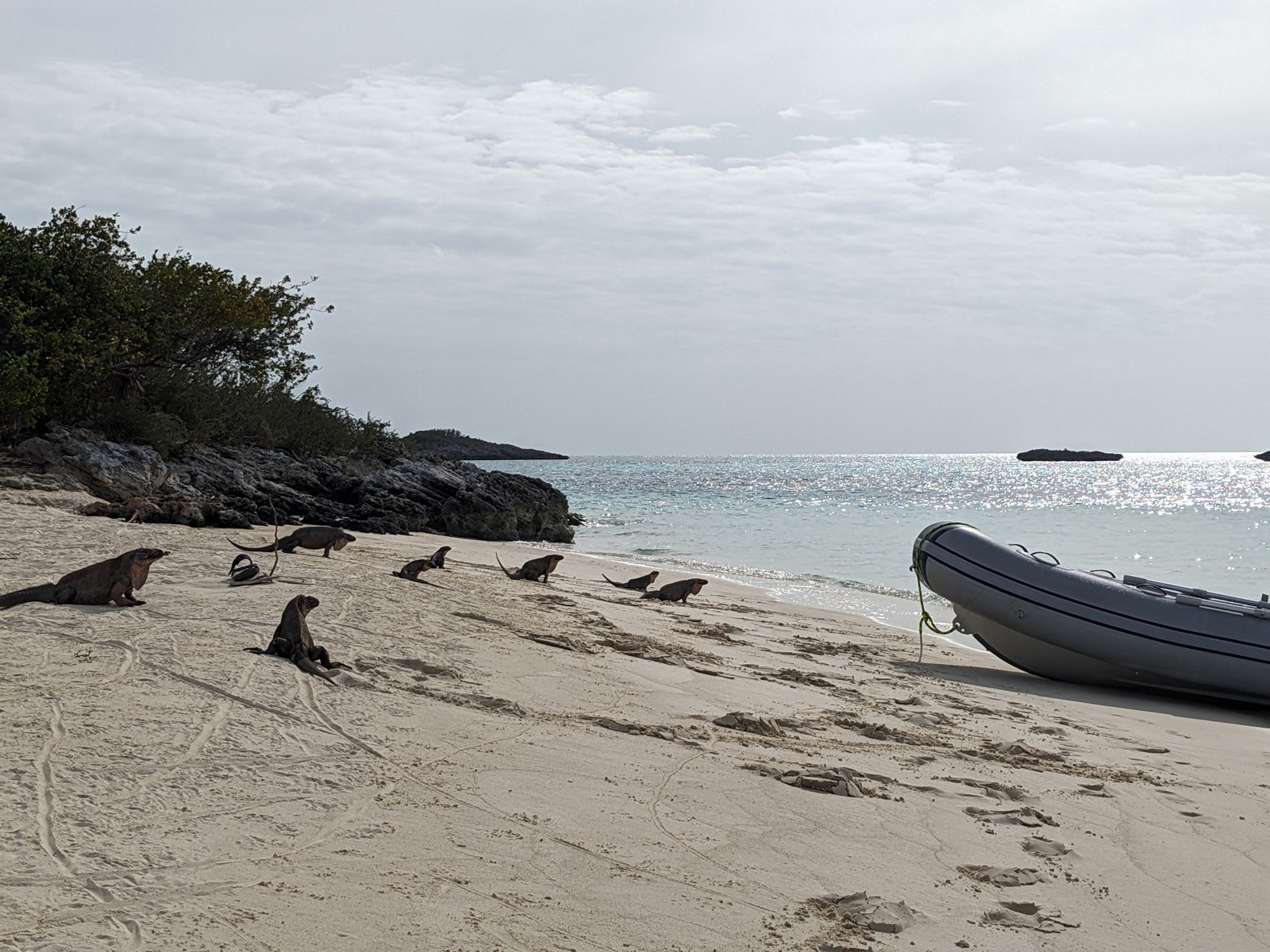 S/V Remedy, photo 78